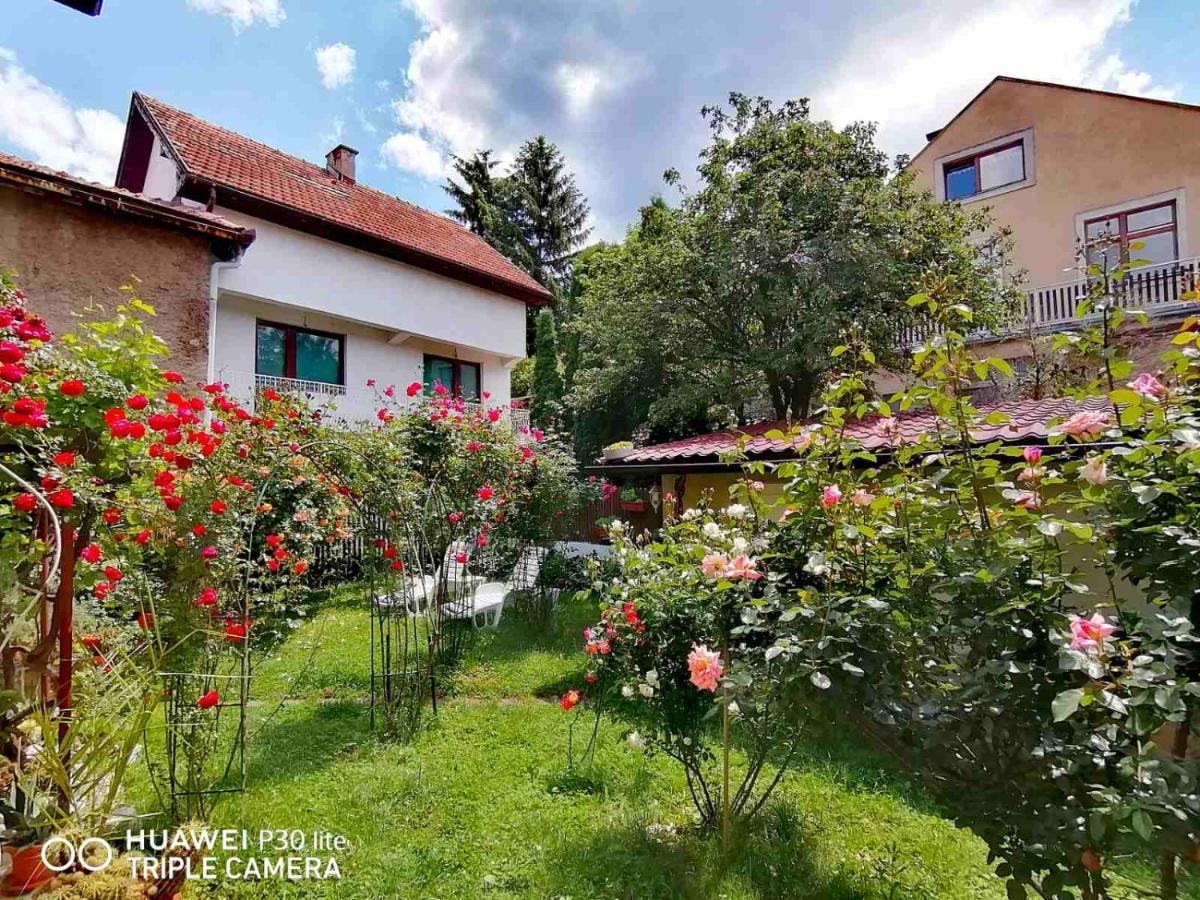 塞拉耶佛 Modern&Cozy Bosnian House With Garden+Free Parking酒店 外观 照片