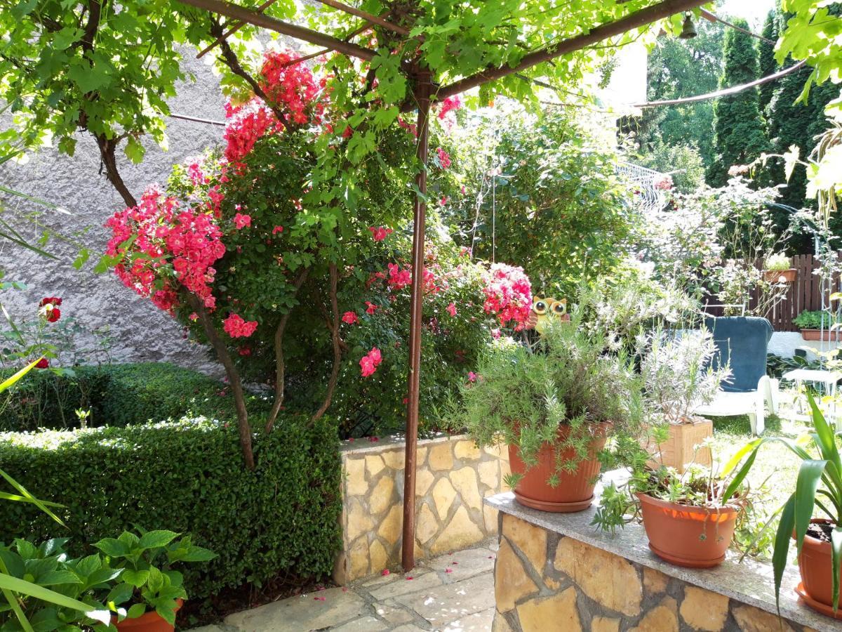 塞拉耶佛 Modern&Cozy Bosnian House With Garden+Free Parking酒店 外观 照片