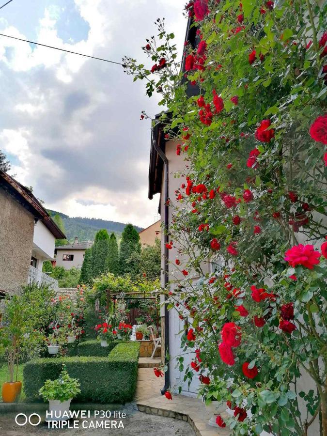 塞拉耶佛 Modern&Cozy Bosnian House With Garden+Free Parking酒店 外观 照片