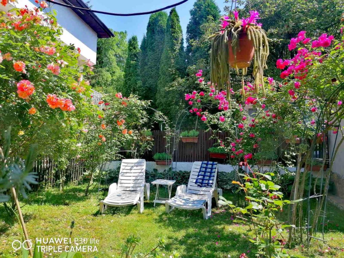 塞拉耶佛 Modern&Cozy Bosnian House With Garden+Free Parking酒店 外观 照片