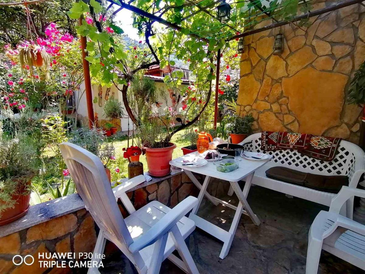 塞拉耶佛 Modern&Cozy Bosnian House With Garden+Free Parking酒店 外观 照片