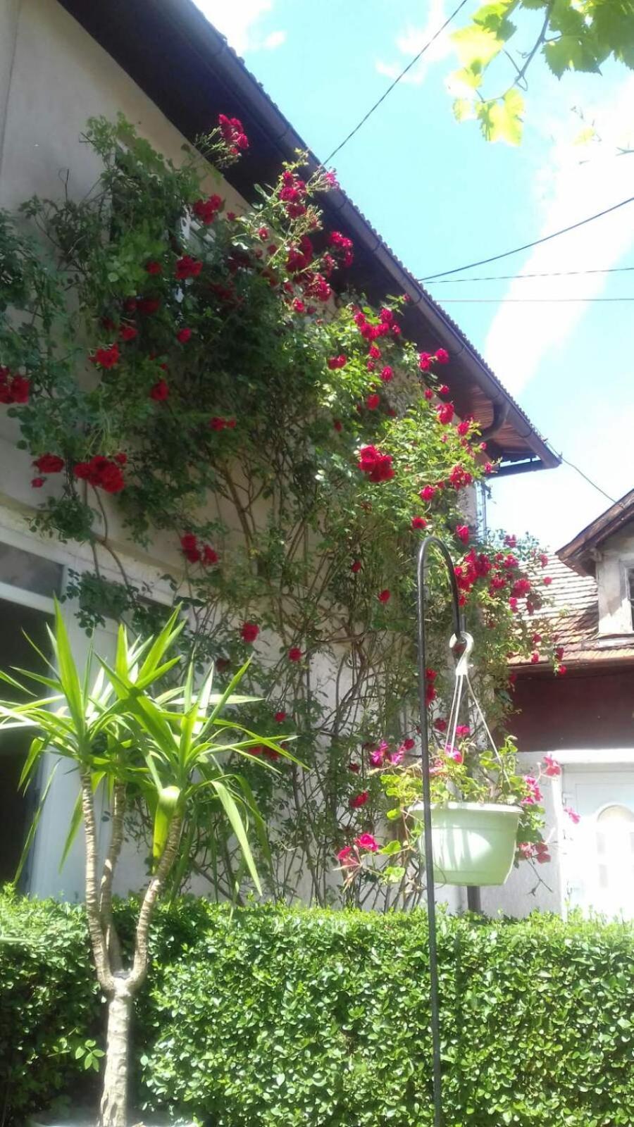 塞拉耶佛 Modern&Cozy Bosnian House With Garden+Free Parking酒店 客房 照片