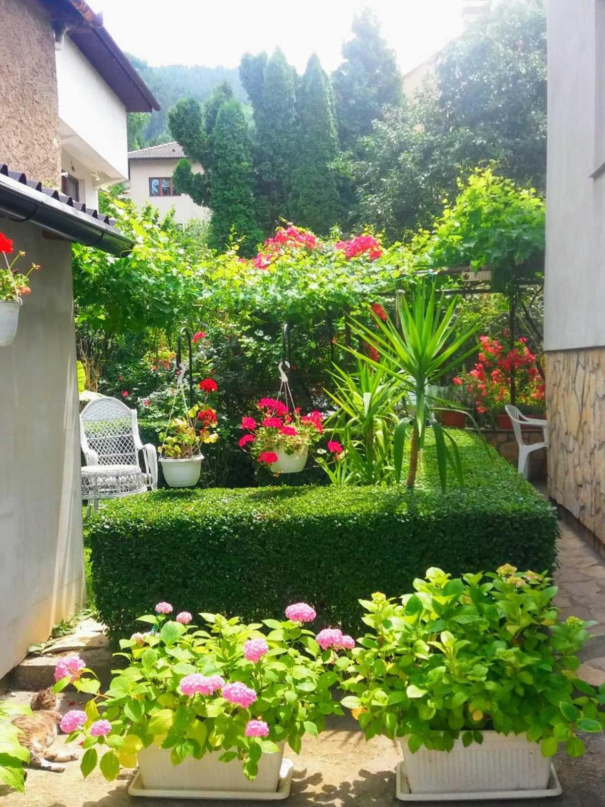 塞拉耶佛 Modern&Cozy Bosnian House With Garden+Free Parking酒店 客房 照片