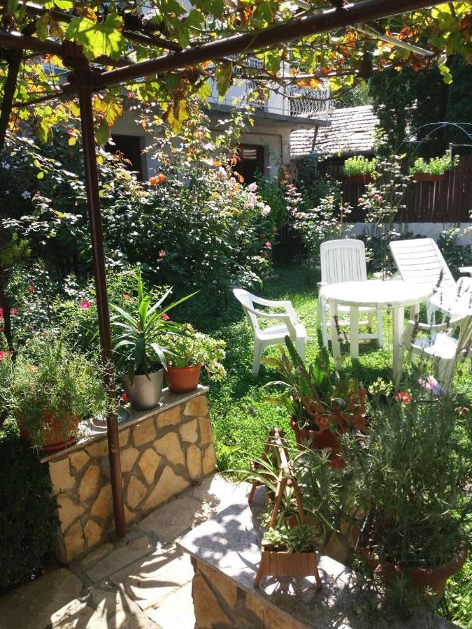 塞拉耶佛 Modern&Cozy Bosnian House With Garden+Free Parking酒店 外观 照片